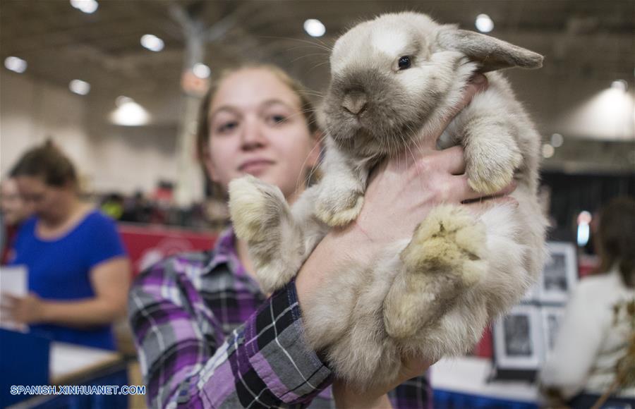 CANADA-TORONTO-FERIA AGRICOLA