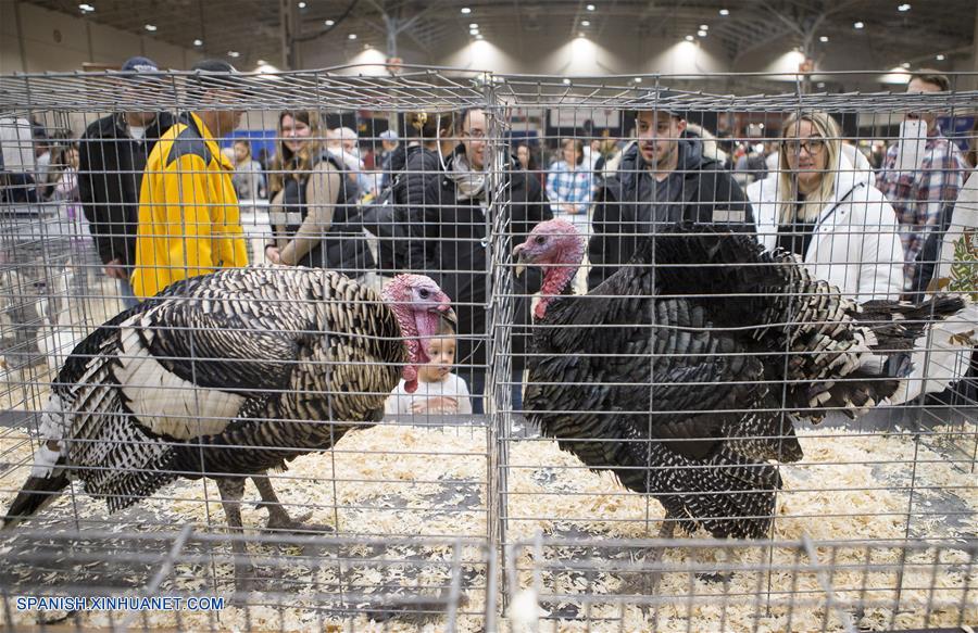 CANADA-TORONTO-FERIA AGRICOLA