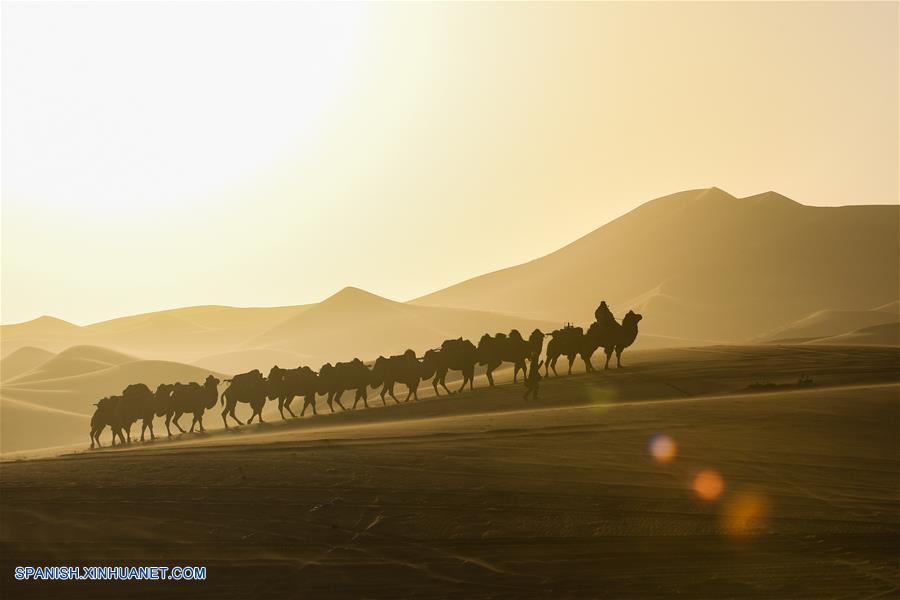 CHINA-ALXA-FERIA NADAM-SERIE 