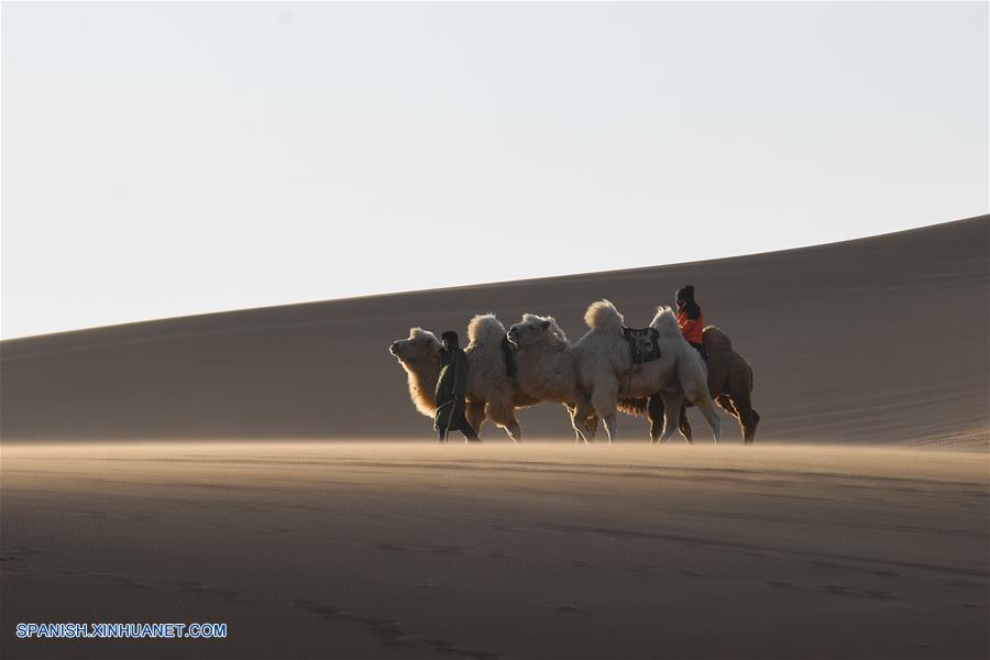 CHINA-ALXA-FERIA NADAM-SERIE 