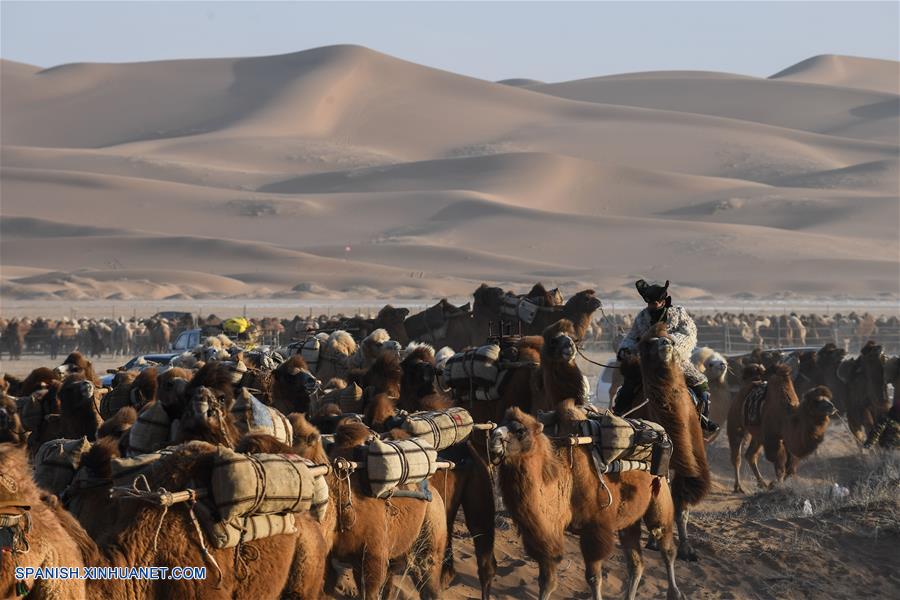 CHINA-ALXA-FERIA NADAM-SERIE 