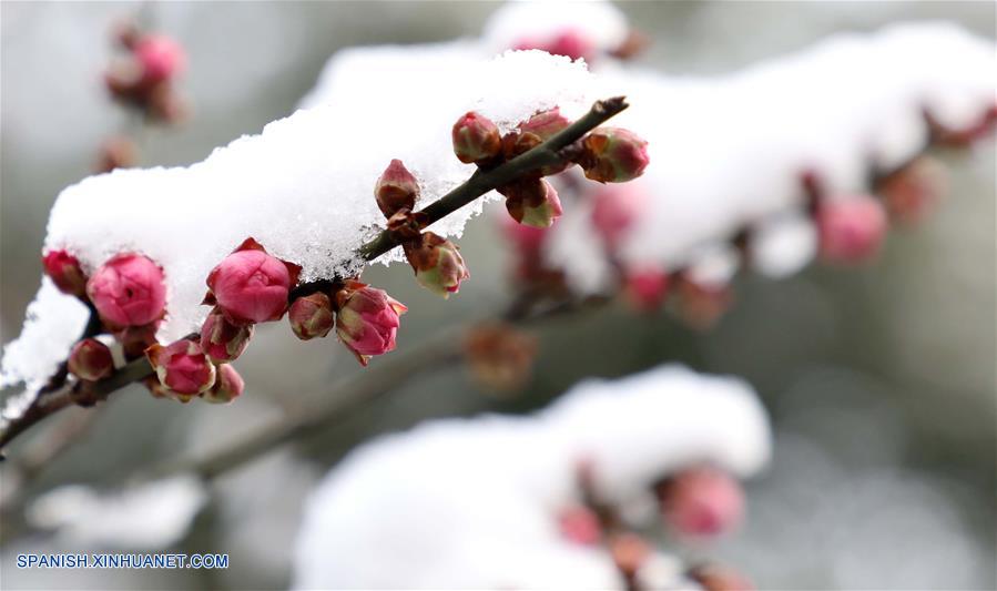 CHINA-JIANGSU-CLIMA-NIEVE