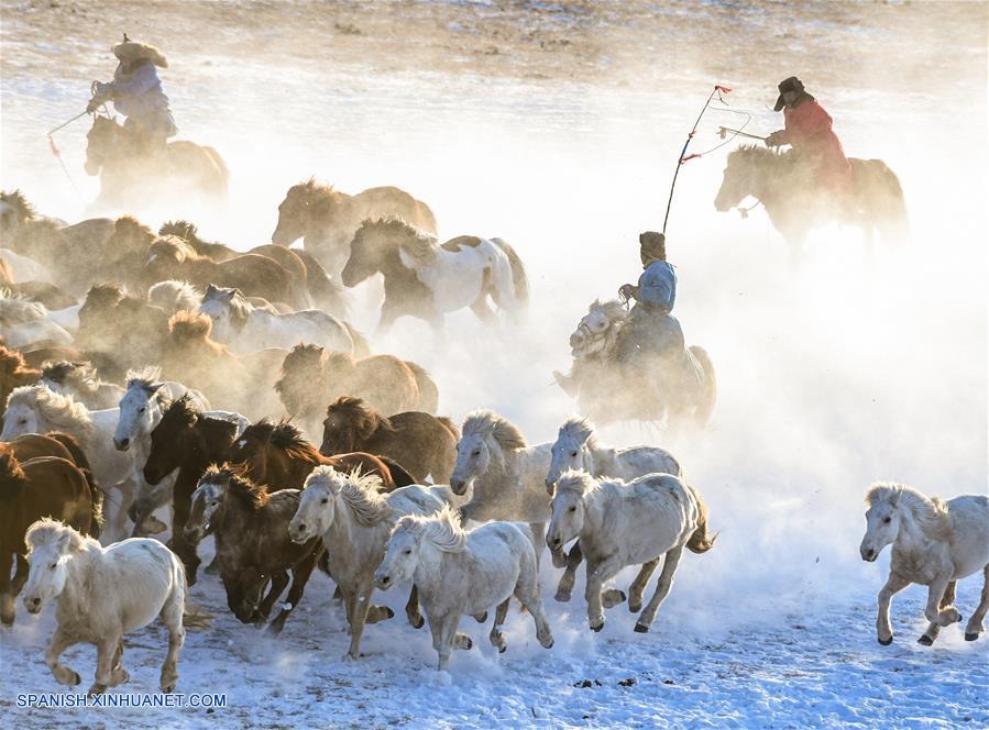 CHINA-CHIFENG-CABALLOS