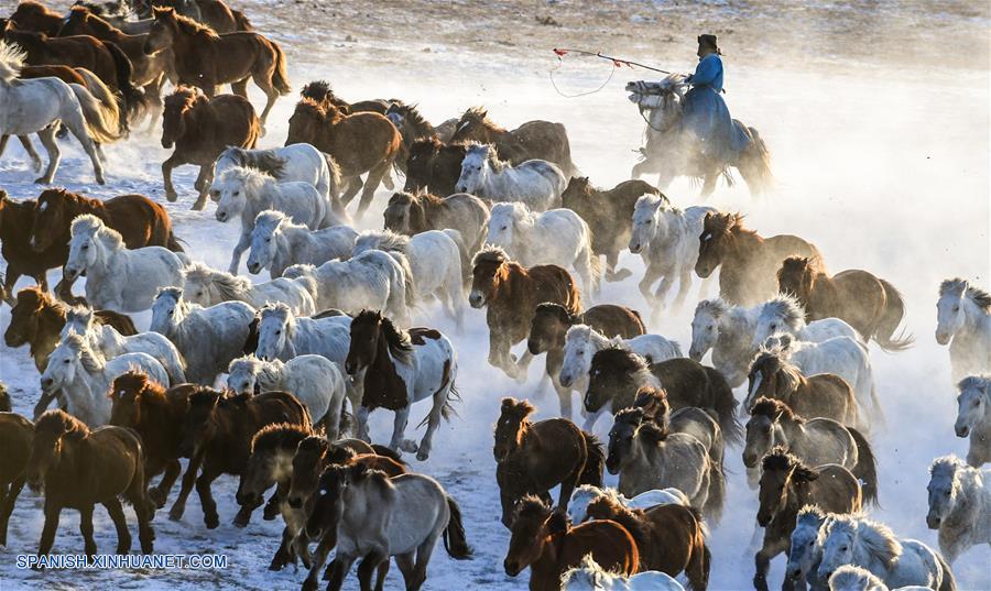 CHINA-CHIFENG-CABALLOS