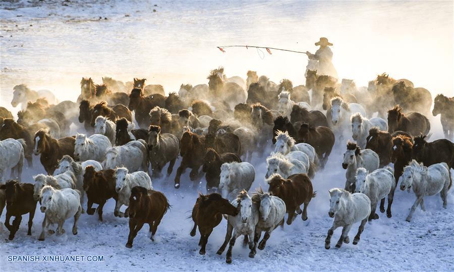 CHINA-CHIFENG-CABALLOS