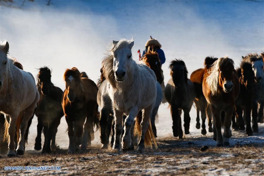CHINA-CHIFENG-CABALLOS