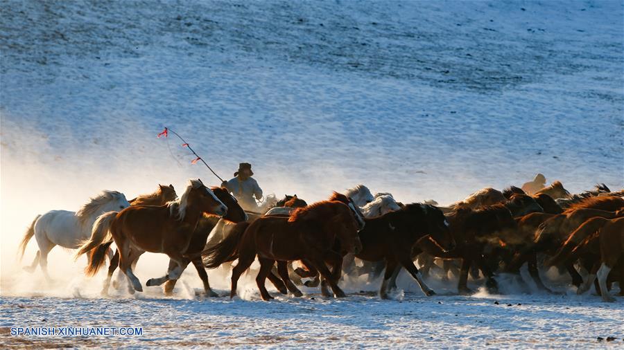 CHINA-CHIFENG-CABALLOS