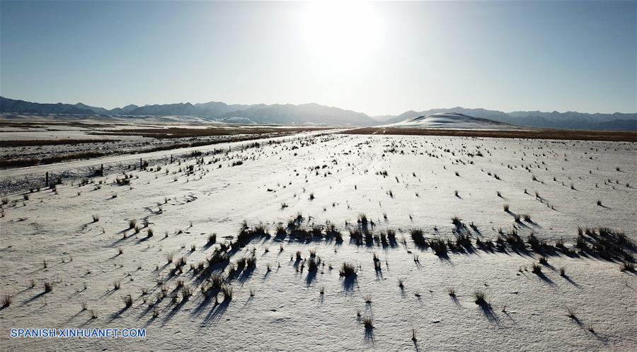 CHINA-GANSU-RANCHO SHANDAN-CABALLOS-SERIE