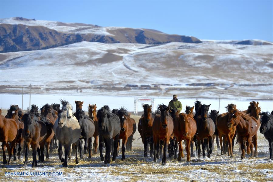 CHINA-GANSU-RANCHO SHANDAN-CABALLOS-SERIE