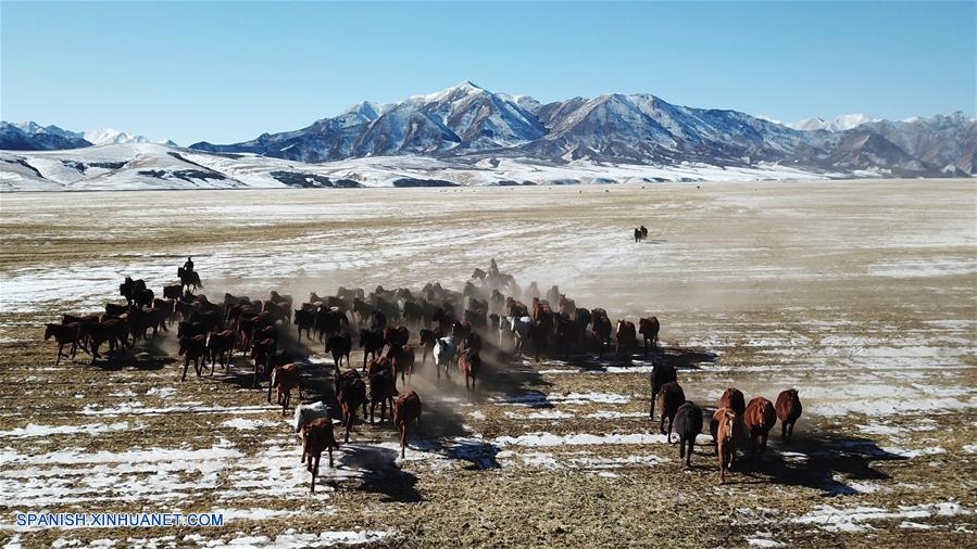 CHINA-GANSU-RANCHO SHANDAN-CABALLOS-SERIE