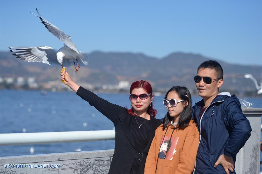 CHINA-YUNNAN-FESTIVAL DE PRIMAVERA-GAVIOTAS DE CABEZA NEGRA
