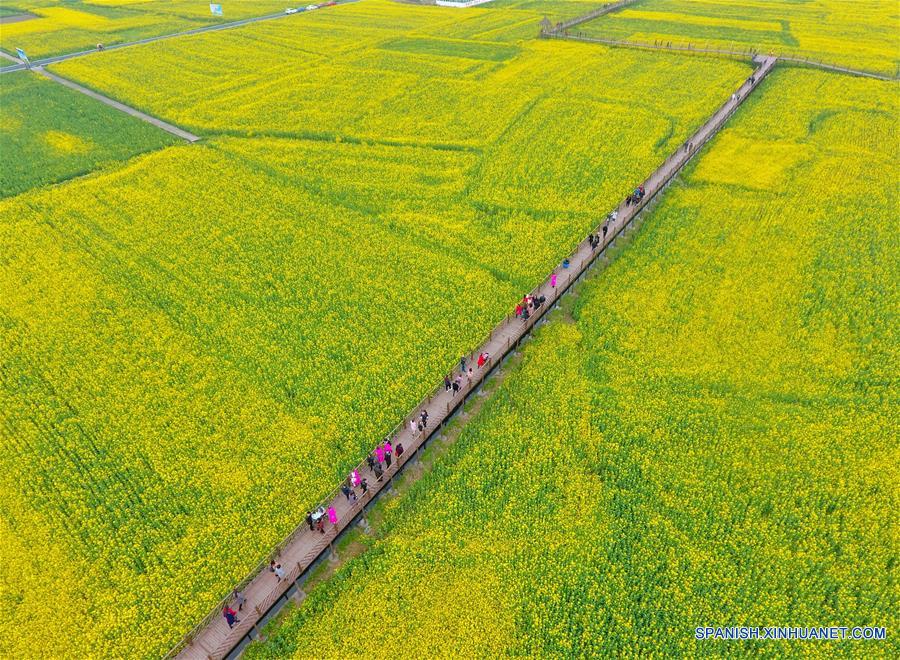 CHINA-SICHUAN-FLORES DE COL-TURISMO