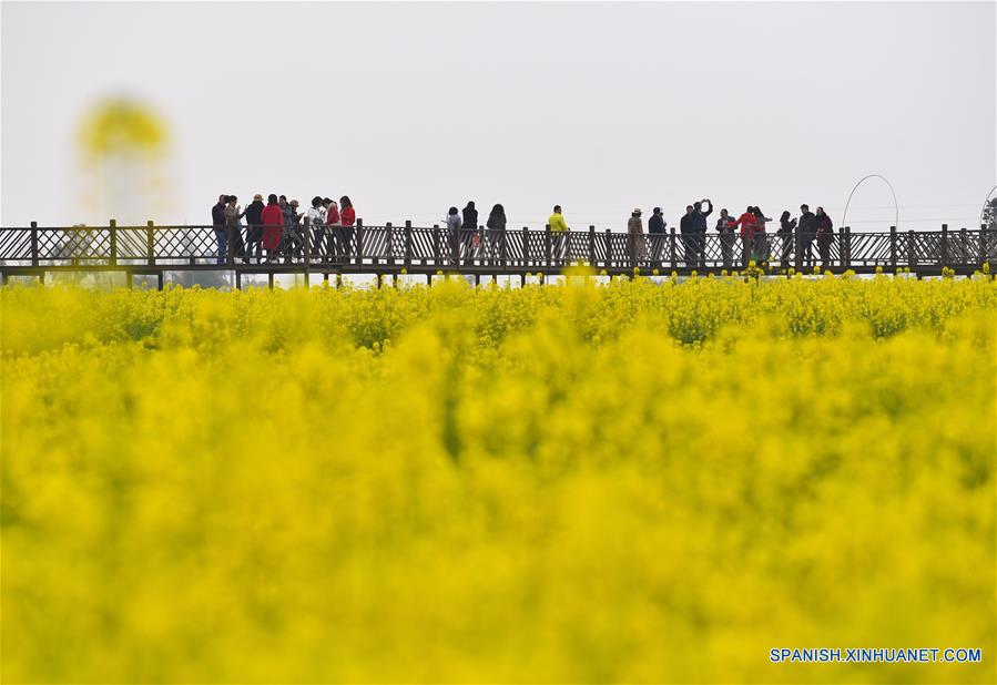 CHINA-SICHUAN-FLORES DE COL-TURISMO