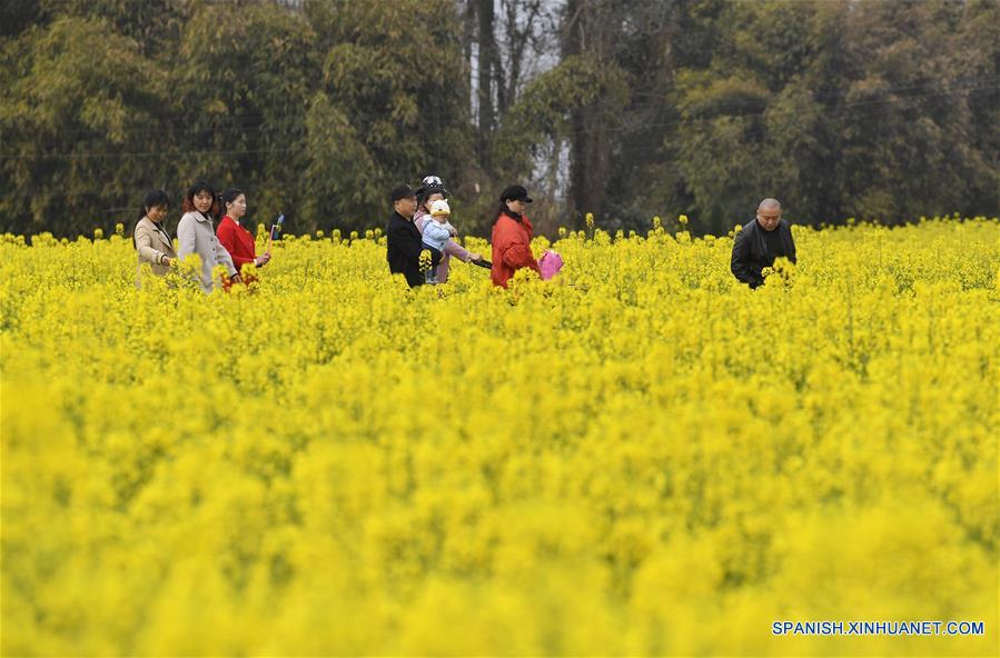 CHINA-SICHUAN-FLORES DE COL-TURISMO