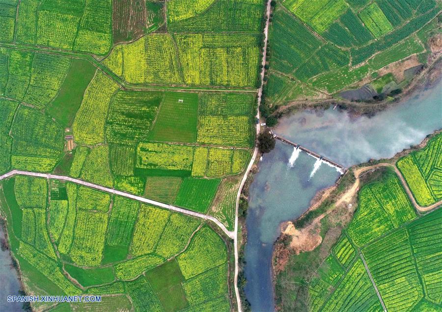 CHINA-JIANGXI-CAMPOS DE COLZA