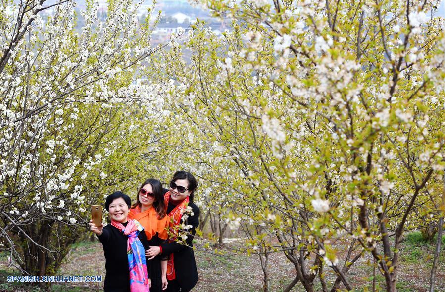 CHINA-SHAANXI-FLORES DE CEREZO