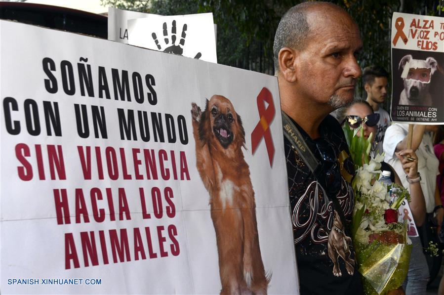 CUBA-HABANA-MARCHA-ANIMAL-MALTRATO