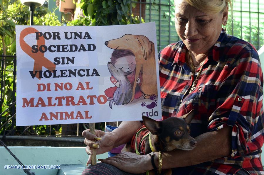 CUBA-HABANA-MARCHA-ANIMAL-MALTRATO