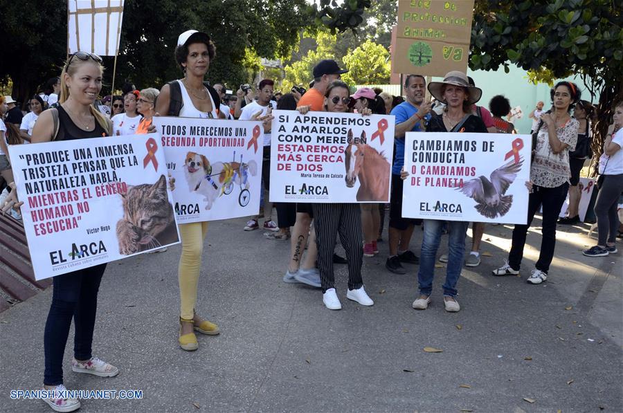 CUBA-HABANA-MARCHA-ANIMAL-MALTRATO