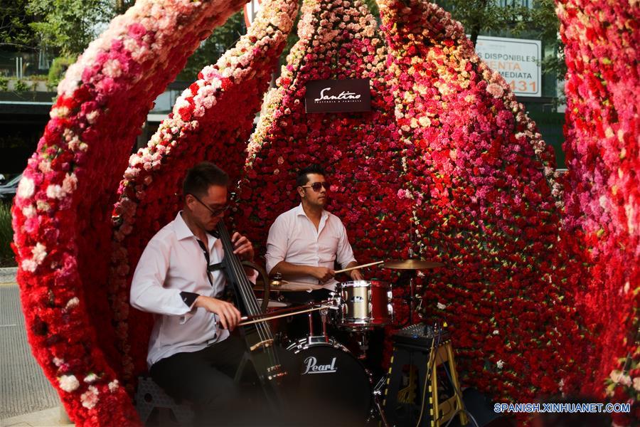 MEXICO-CIUDAD DE MEXICO-FESTIVAL FLORES Y JARDINES