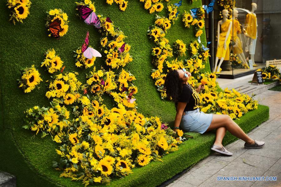 MEXICO-CIUDAD DE MEXICO-FESTIVAL FLORES Y JARDINES