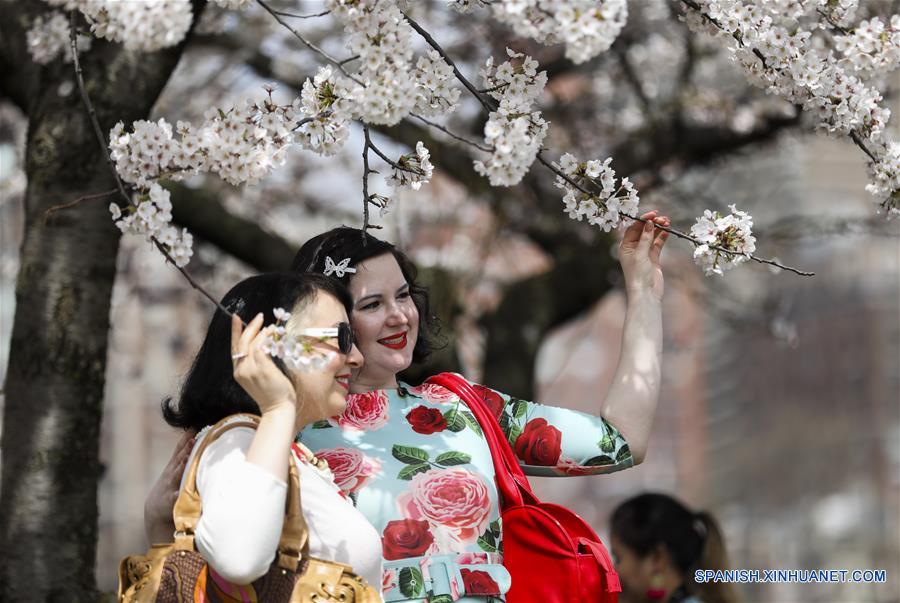 EEUU-NUEVA YORK-FESTIVAL-FLOR DE CEREZO