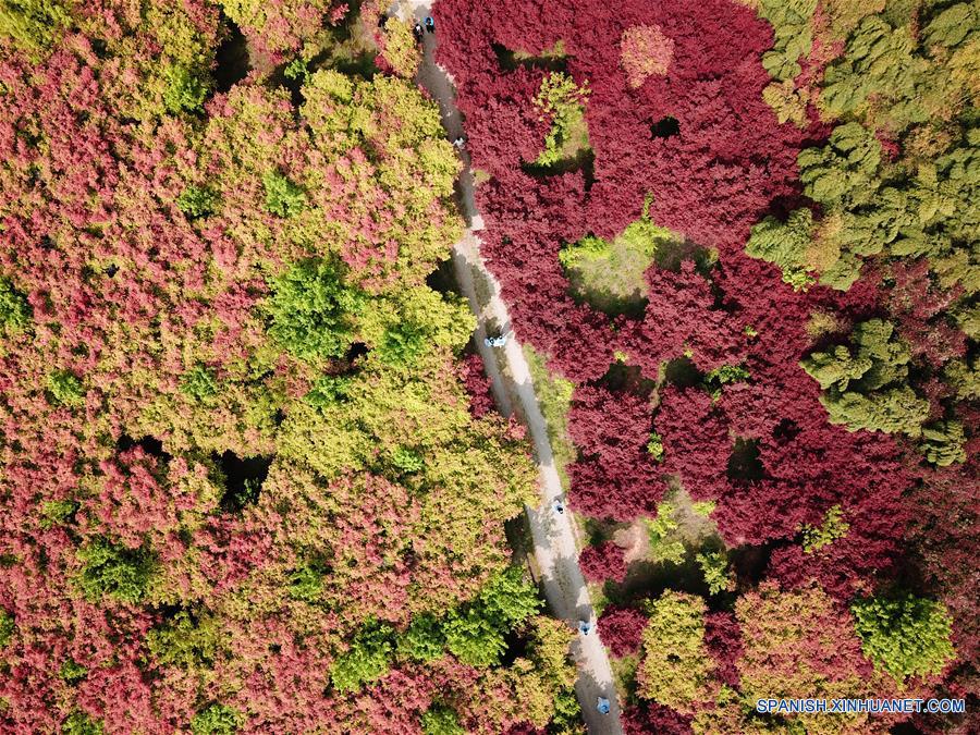 CHINA-ZHEJIANG-ARCE ROJO