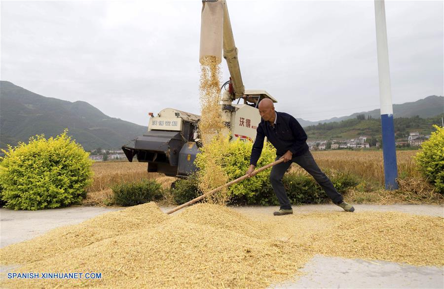 CHINA-HUBEI-TRIGO-COSECHA  