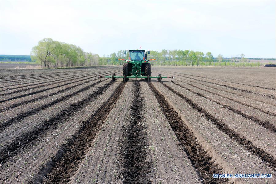 CHINA-HEILONGJIANG-AGRICULTURA-SERIE