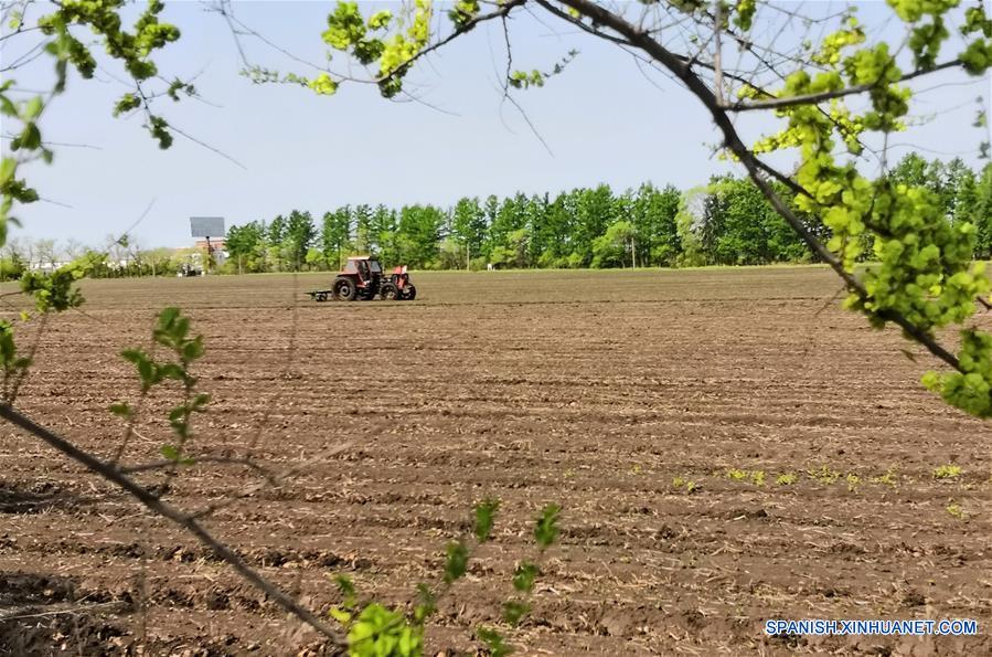 CHINA-HEILONGJIANG-AGRICULTURA-SERIE