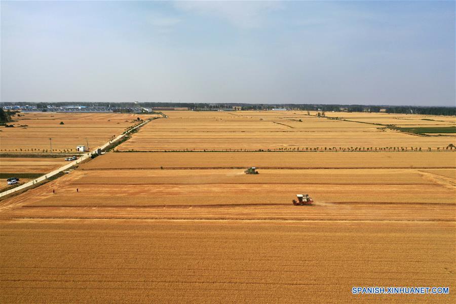 CHINA-HENAN-AGRICULTURA