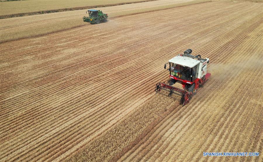 CHINA-HENAN-AGRICULTURA