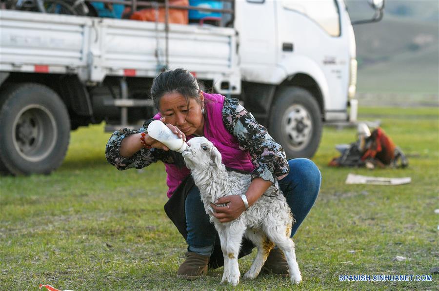 CHINA-CHIFENG-PASTORES-MIGRACION