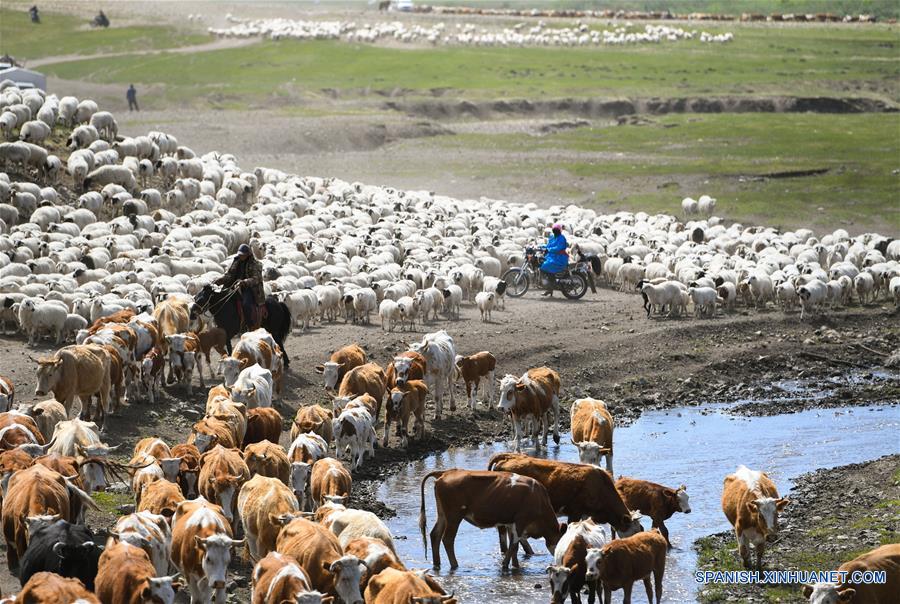 CHINA-CHIFENG-PASTORES-MIGRACION