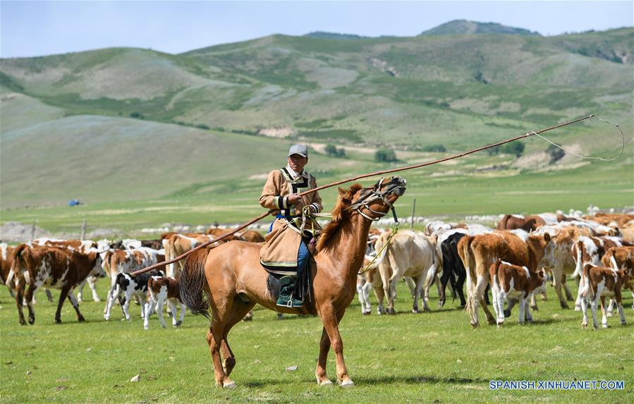 CHINA-CHIFENG-PASTORES-MIGRACION