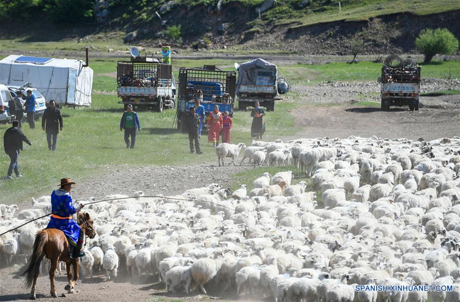 CHINA-CHIFENG-PASTORES-MIGRACION