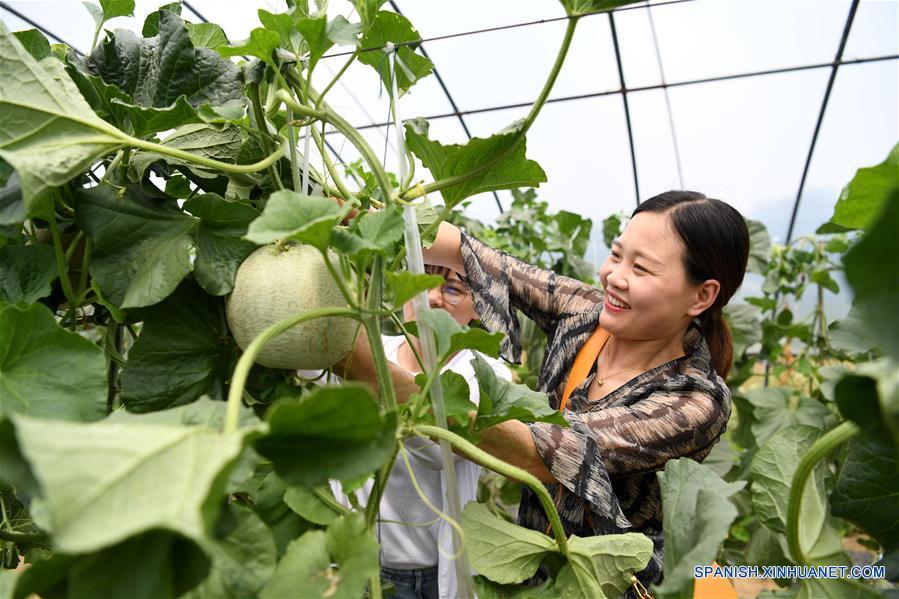 CHINA-ANHUI-AGRICULTURA-TURISMO