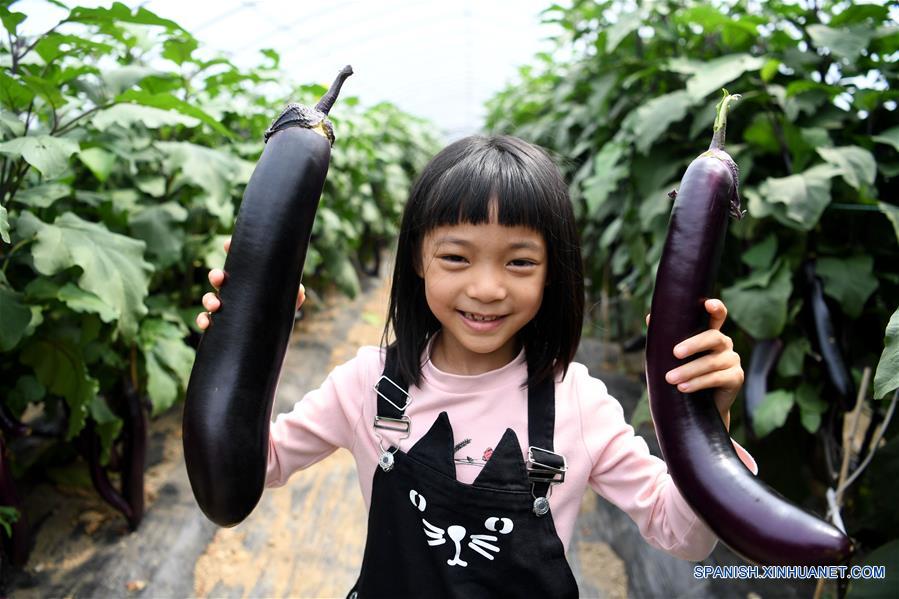 CHINA-ANHUI-AGRICULTURA-TURISMO