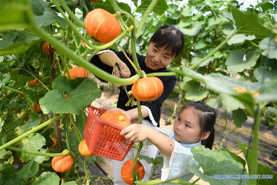 CHINA-ANHUI-AGRICULTURA-TURISMO