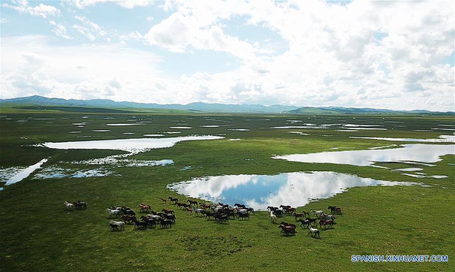 CHINA-GANSU-CABALLOS HEQU