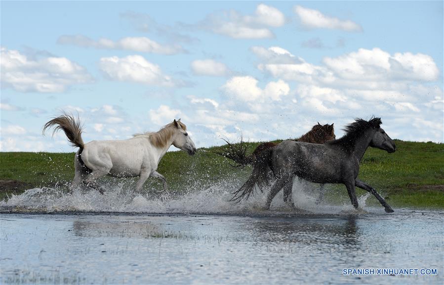 CHINA-GANSU-CABALLOS HEQU