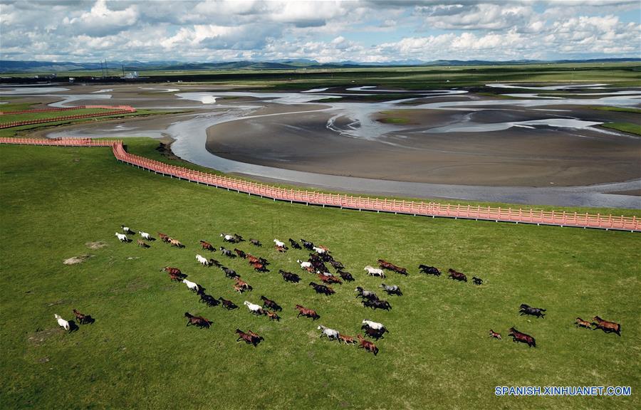 CHINA-GANSU-CABALLOS HEQU