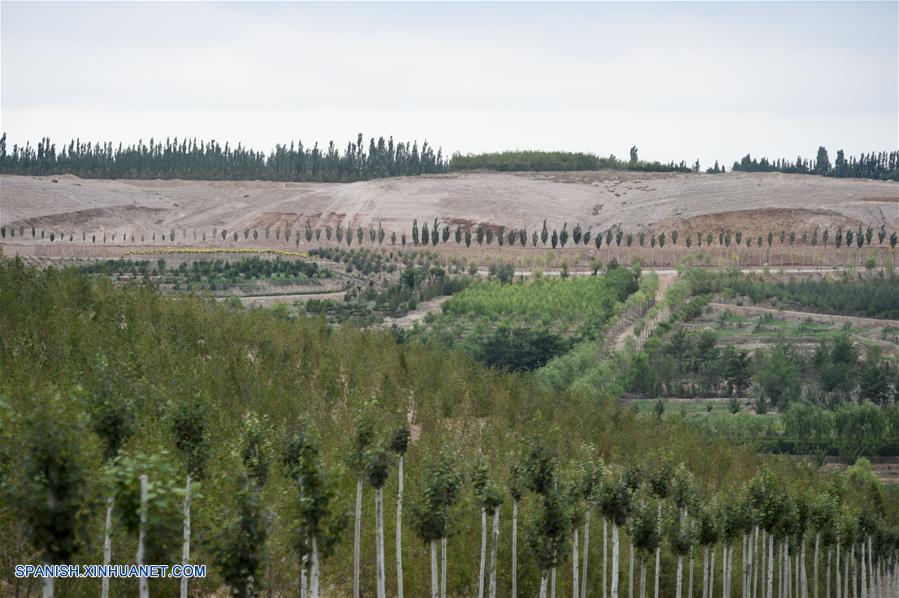 CHINA-NINGXIA-RESERVA NATURAL BAIJITAN