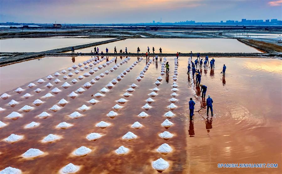 CHINA-SHANXI-LAGO SALADO-COSECHA
