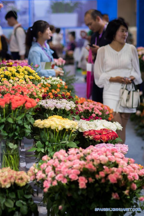 CHINA-KUNMING-EXPOSICION FLORAL