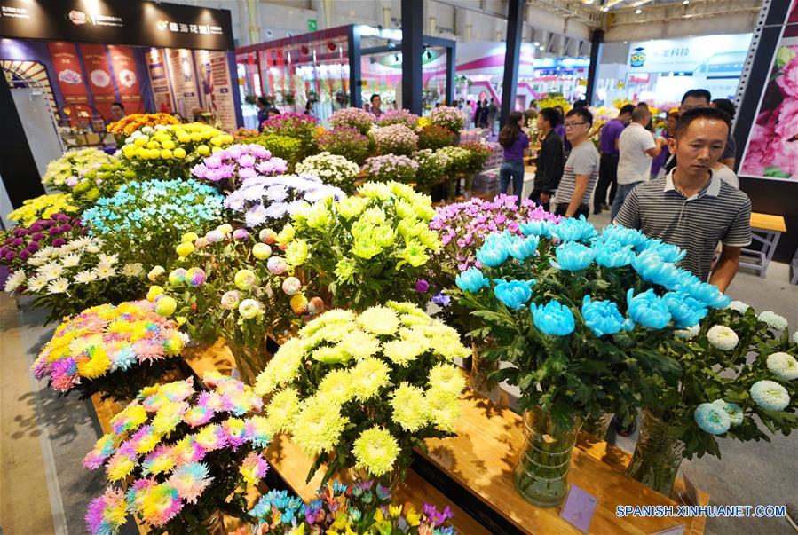 CHINA-KUNMING-EXPOSICION FLORAL