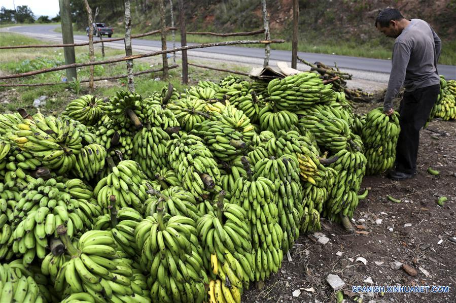 HONDURAS-LA MONTA&Ntilde;ITA-AGRICULTURA
