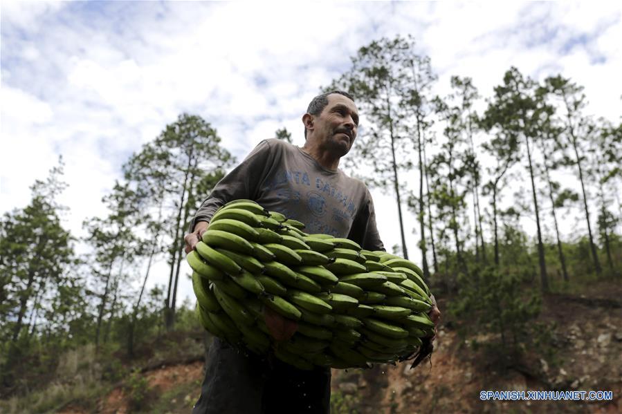 HONDURAS-LA MONTA&Ntilde;ITA-AGRICULTURA