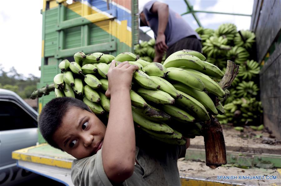 HONDURAS-LA MONTA&Ntilde;ITA-AGRICULTURA