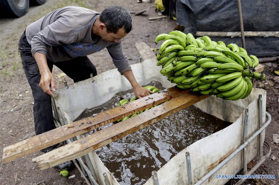 HONDURAS-LA MONTA&Ntilde;ITA-AGRICULTURA